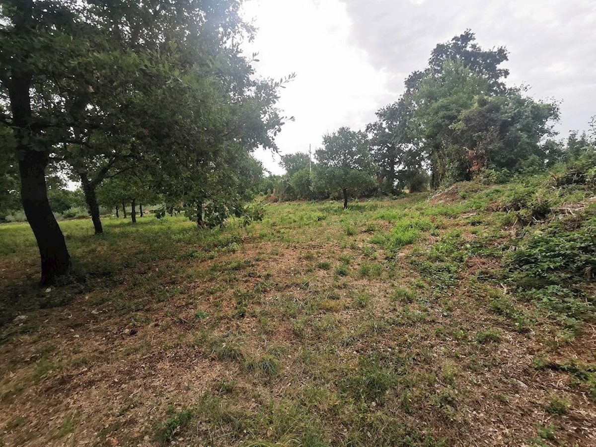 TAR - TERRENO IN VENDITA