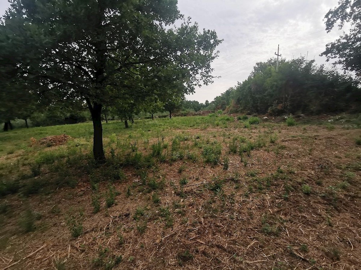 TAR - TERRENO IN VENDITA