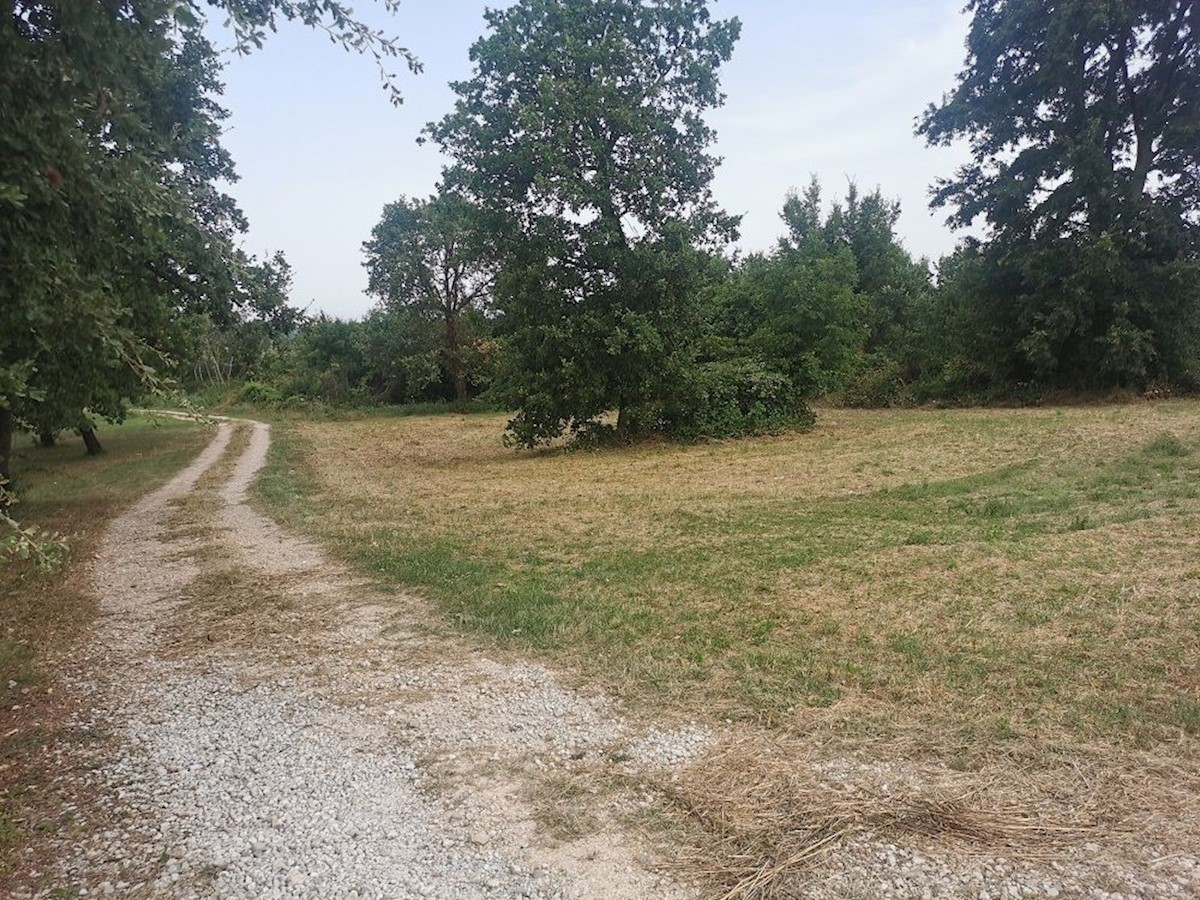 TAR - TERRENO IN VENDITA