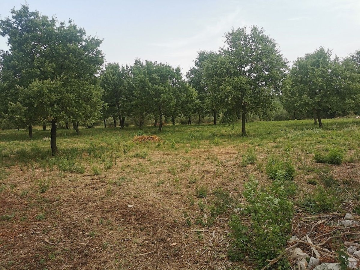 TAR - TERRENO IN VENDITA