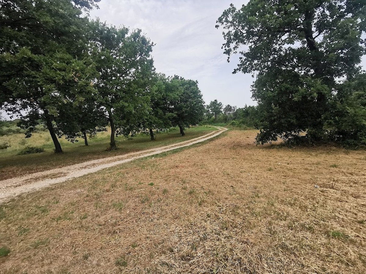TAR - TERRENO IN VENDITA