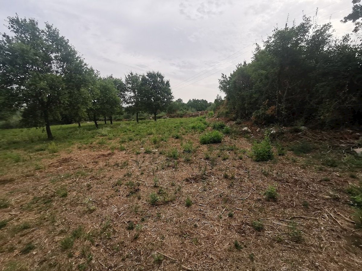 TAR - TERRENO IN VENDITA