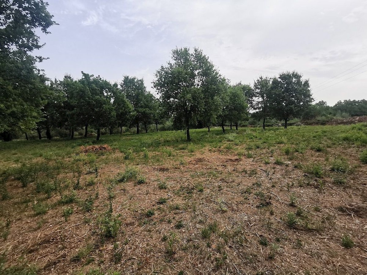 TAR - TERRENO IN VENDITA