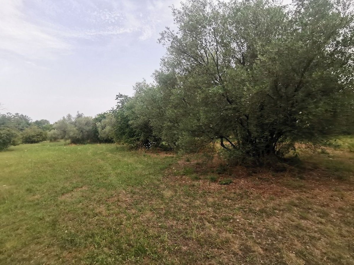 TAR - TERRENO IN VENDITA