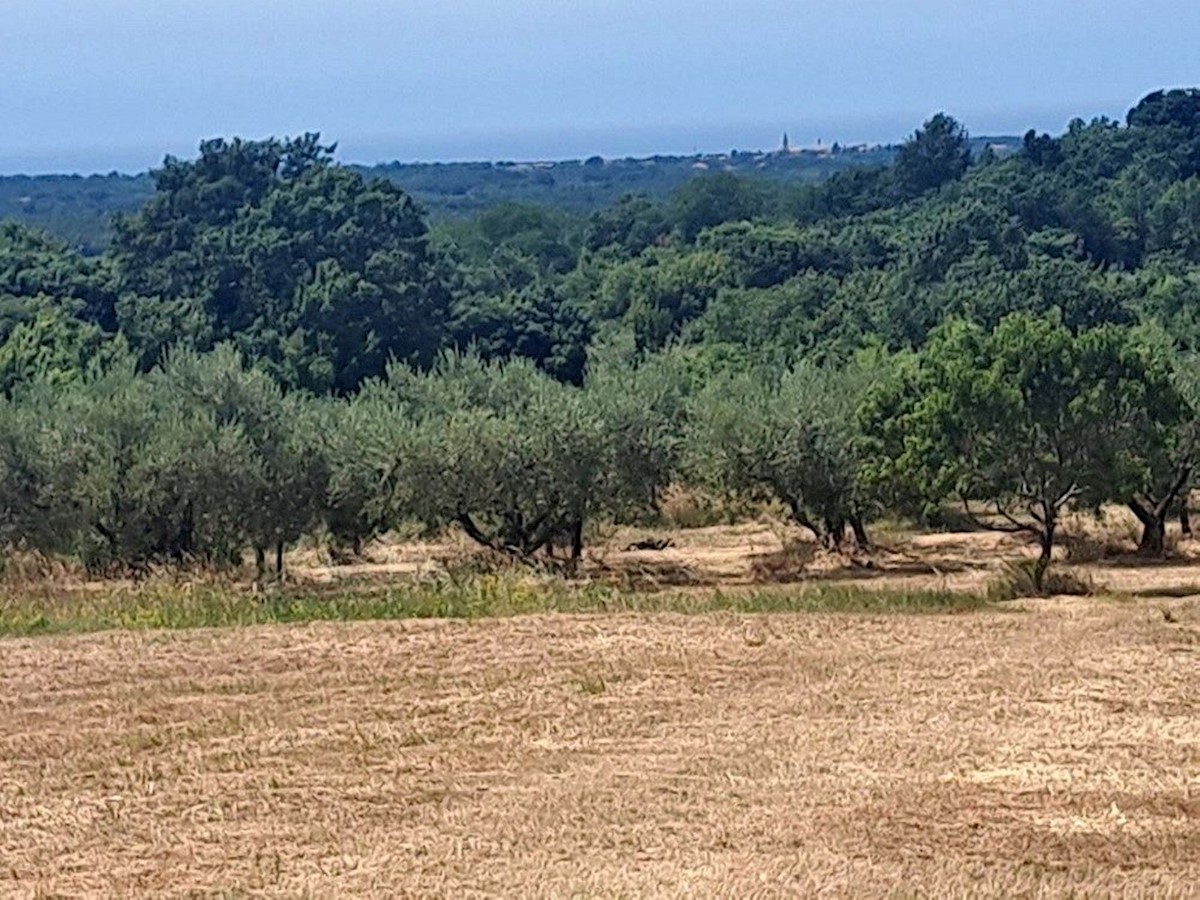 VIŠNJAN - TERRENO EDIFICABILE VISTA MARE