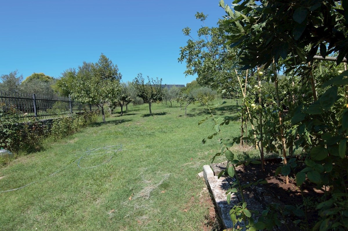 TAR-VABRIGA-CASA CON TRE APPARTAMENTI E LOCALE  IN VENDITA