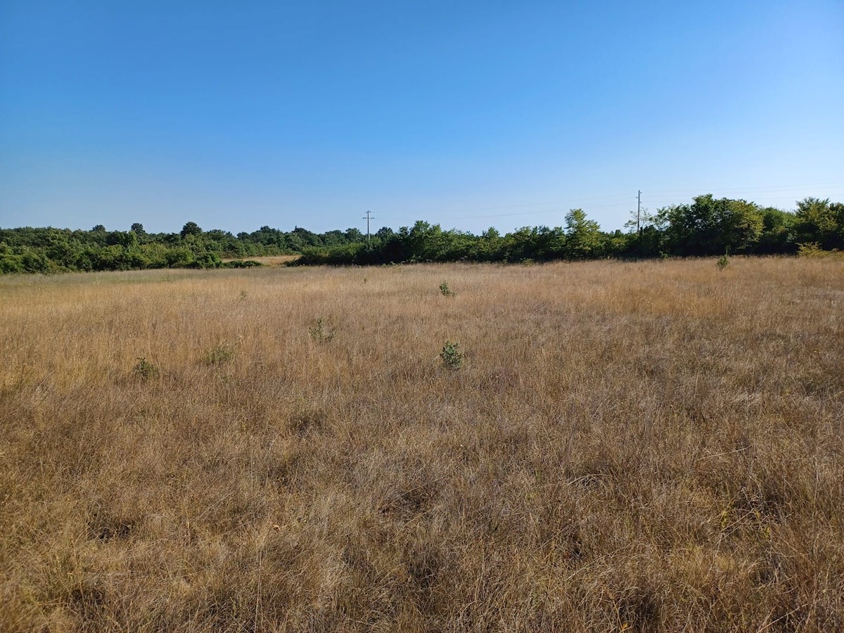 VODNJAN-5 km DA FASANA TERRENO AGRICOLO IN VENDITA