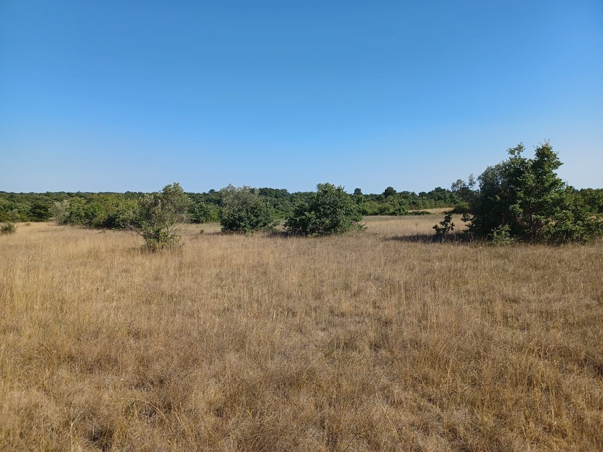 VODNJAN-5 km DA FASANA TERRENO AGRICOLO IN VENDITA