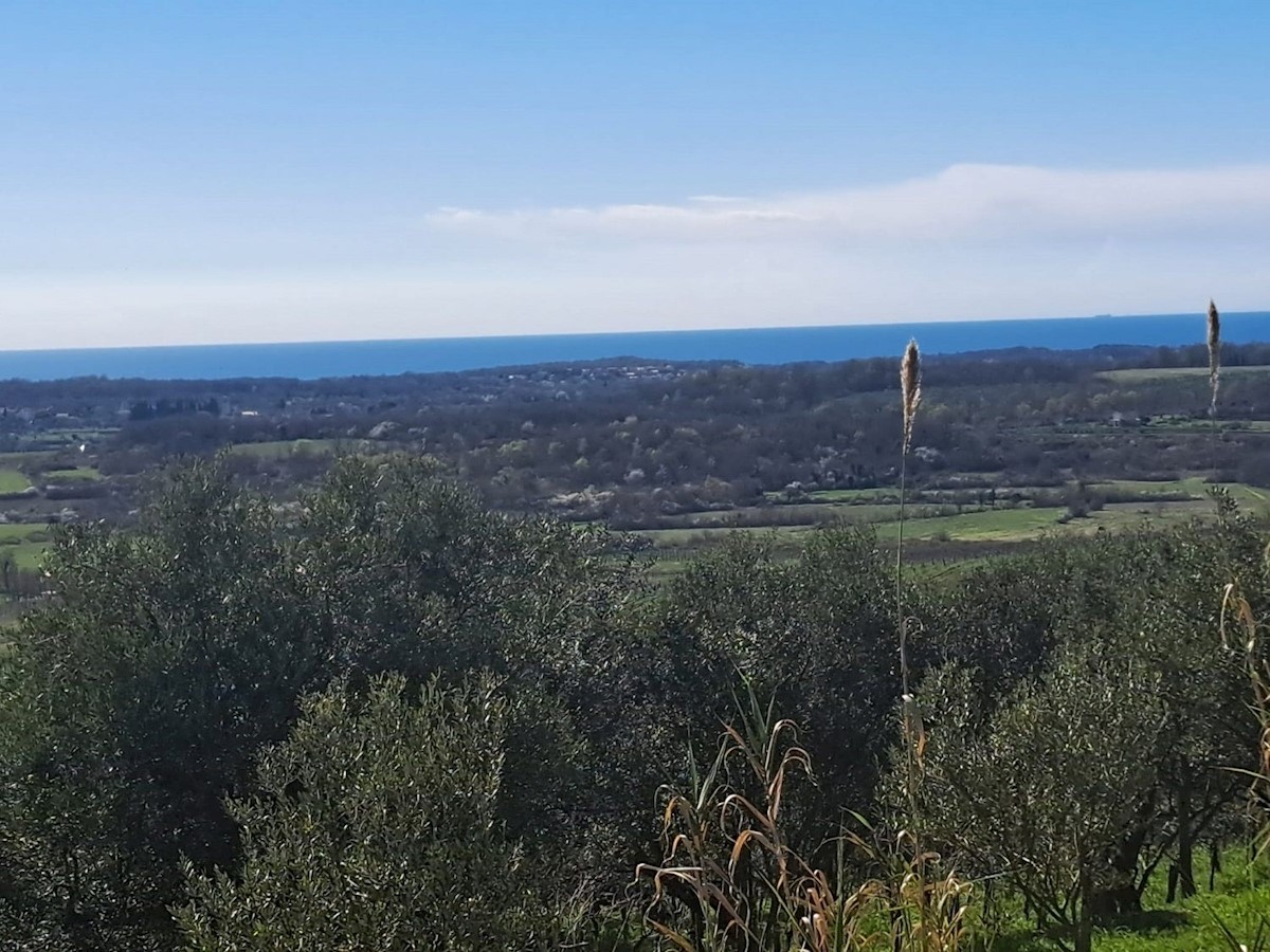 BUJE - TERRENO EDIFICABILE CON VISTA MARE PANORAMICA