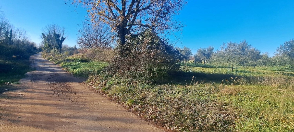 VABRIGA-TERRA PER SPORT E RICREAZIONE IN VENDITA