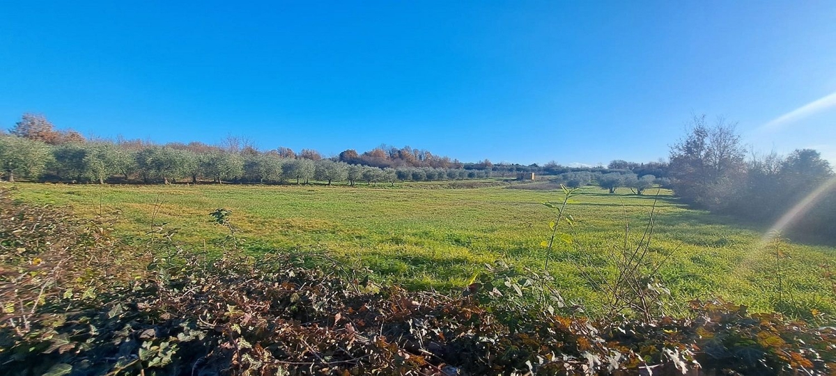 VABRIGA-TERRA PER SPORT E RICREAZIONE IN VENDITA