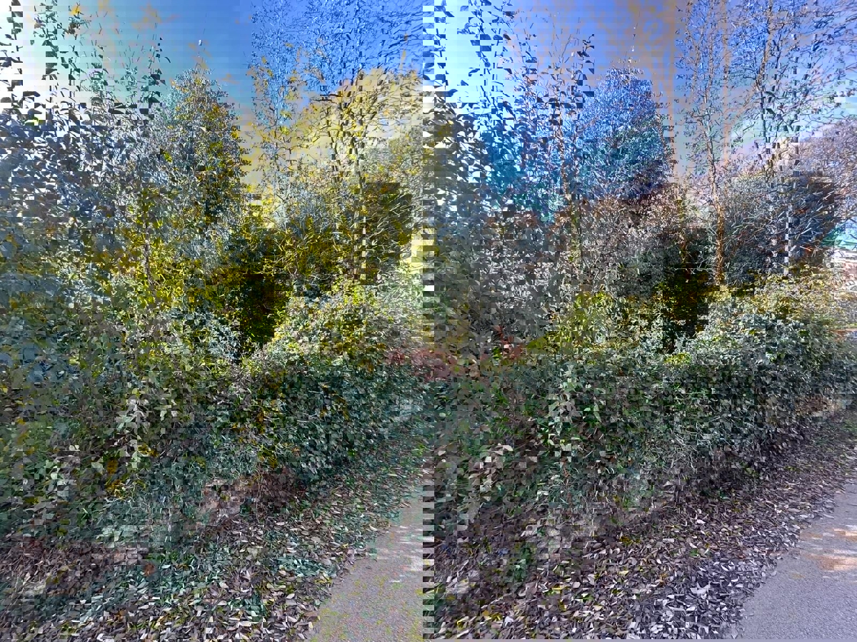 TAR-DUE CASE IN CENTRO CITTÀ DA RISTRUTTURARE COMPLETAMENTE