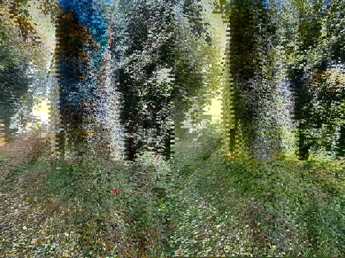 TAR-DUE CASE IN CENTRO CITTÀ DA RISTRUTTURARE COMPLETAMENTE