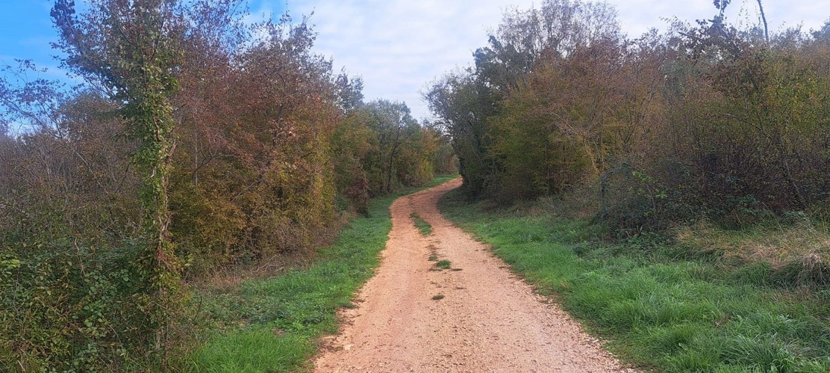 TAR-TERRENO AGRICOLO IN VENDITA