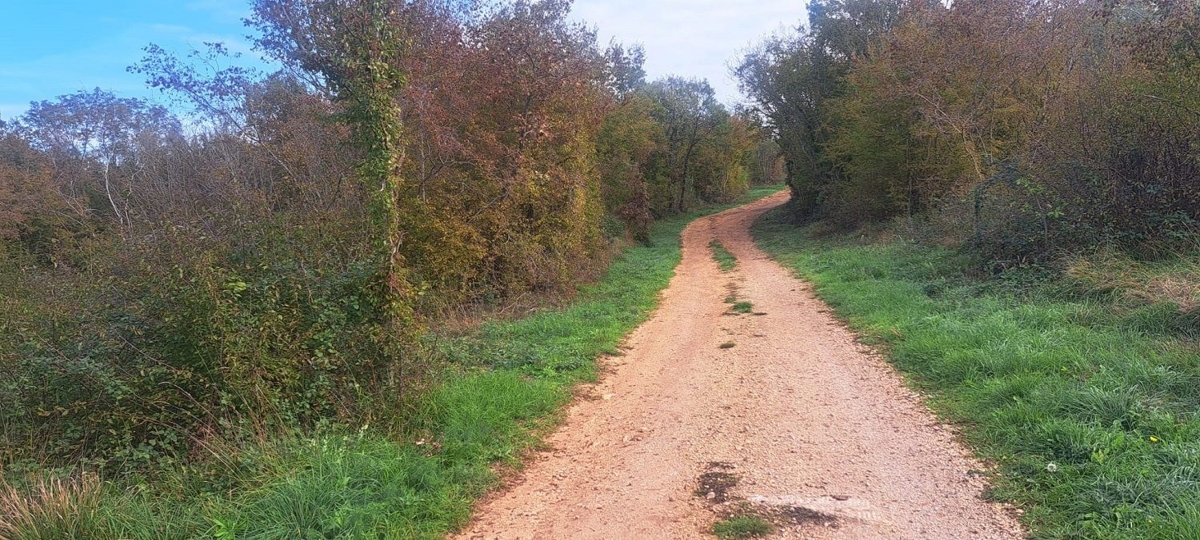 TAR-TERRENO AGRICOLO IN VENDITA