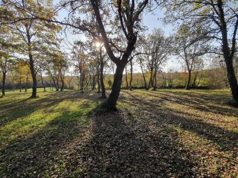 TERRENO TAR-AGRICOLO IN VENDITA