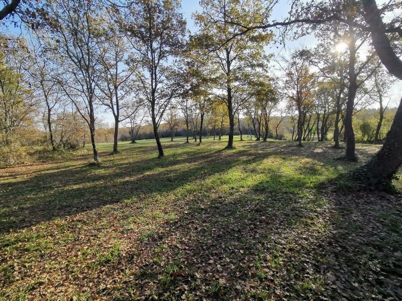 TERRENO TAR-AGRICOLO IN VENDITA