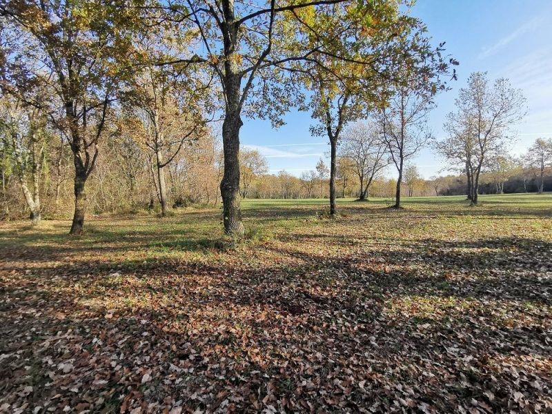 TERRENO TAR-AGRICOLO IN VENDITA