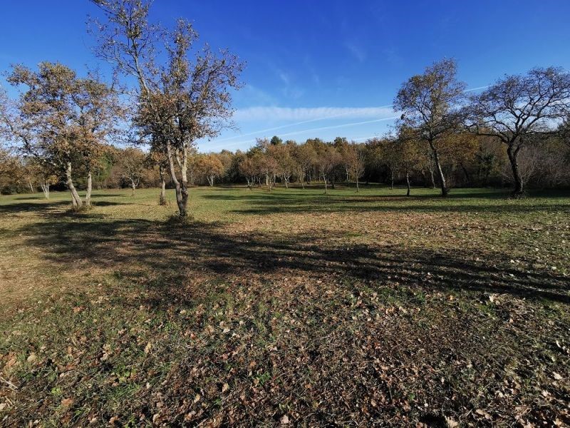 TERRENO TAR-AGRICOLO IN VENDITA