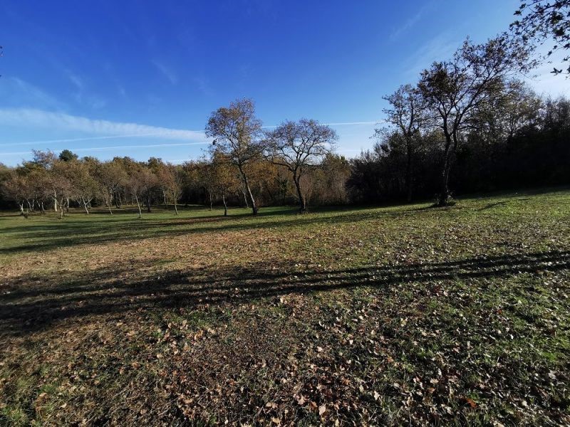 TERRENO TAR-AGRICOLO IN VENDITA