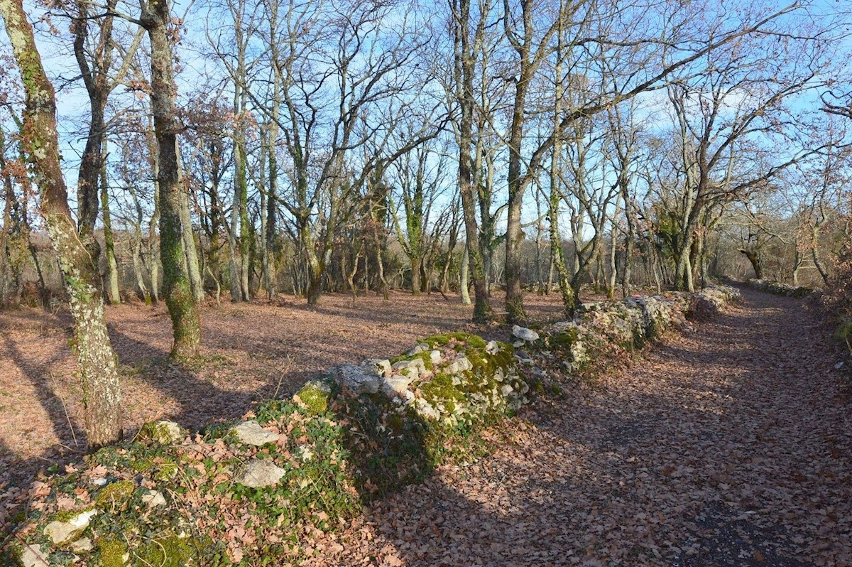 JAKOVIĆI-BELLISSIMO TERRENO IN VENDITA