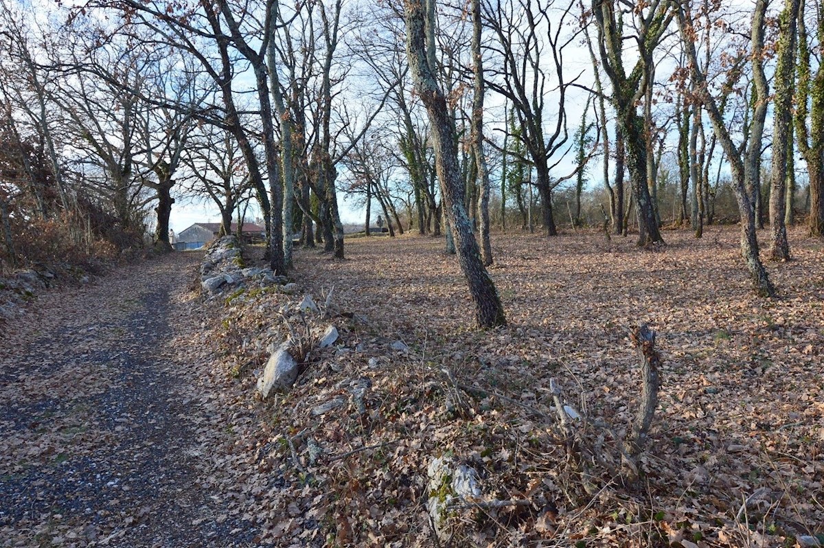 JAKOVIĆI-BELLISSIMO TERRENO IN VENDITA