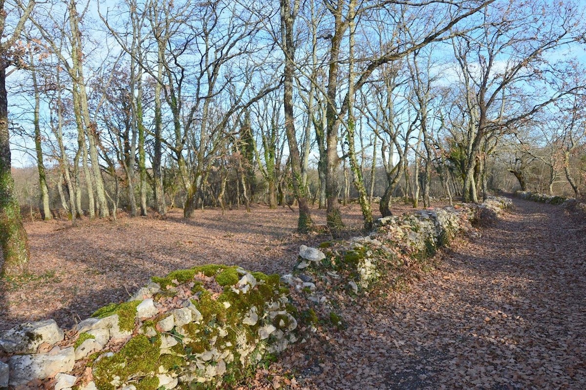 JAKOVIĆI-BELLISSIMO TERRENO IN VENDITA