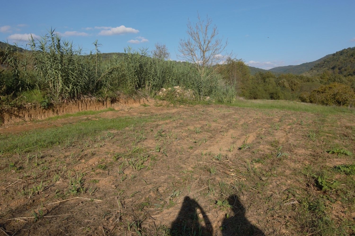 MONTONA DINTORNI- TERRENO EDIFICABILE CON PROGETTO CONCETTUALE IN VENDITA