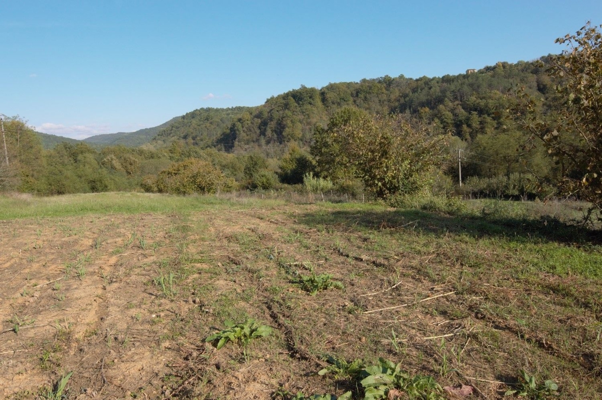 MONTONA DINTORNI- TERRENO EDIFICABILE CON PROGETTO CONCETTUALE IN VENDITA