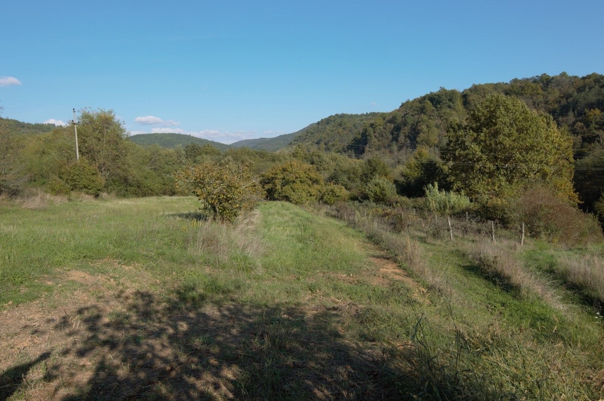 MONTONA DINTORNI- TERRENO EDIFICABILE CON PROGETTO CONCETTUALE IN VENDITA