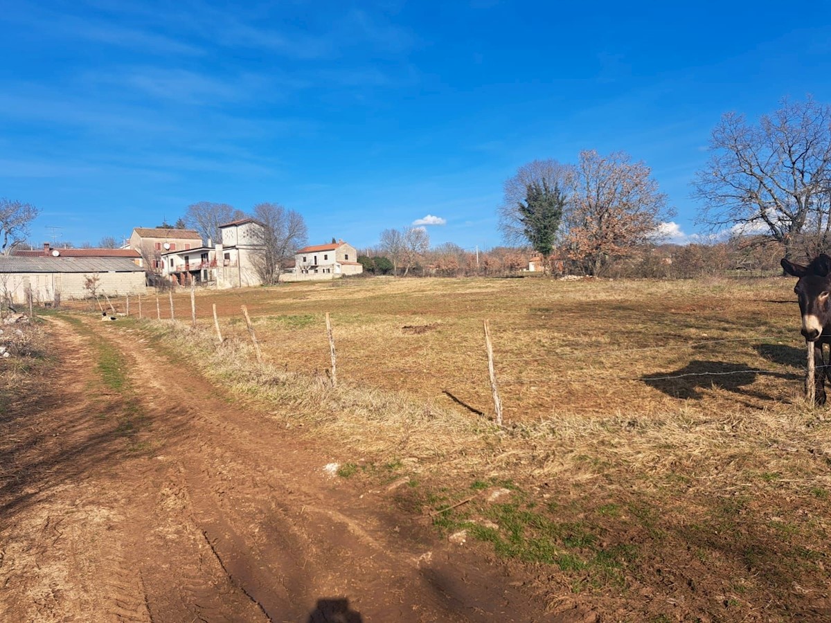 VIŠNJAN - TERRENO EDIFICABILE AI MARGINI DEL SITO