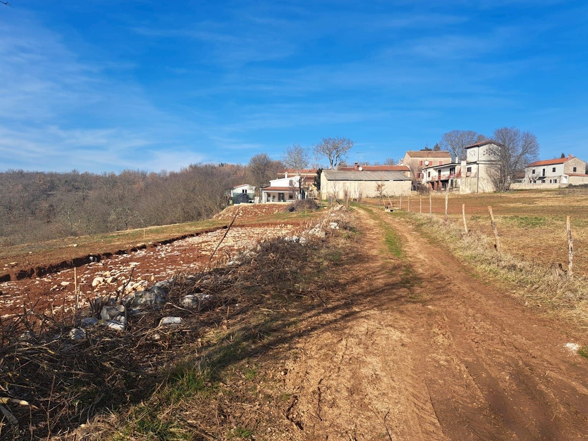 VIŠNJAN - TERRENO EDIFICABILE AI MARGINI DEL SITO