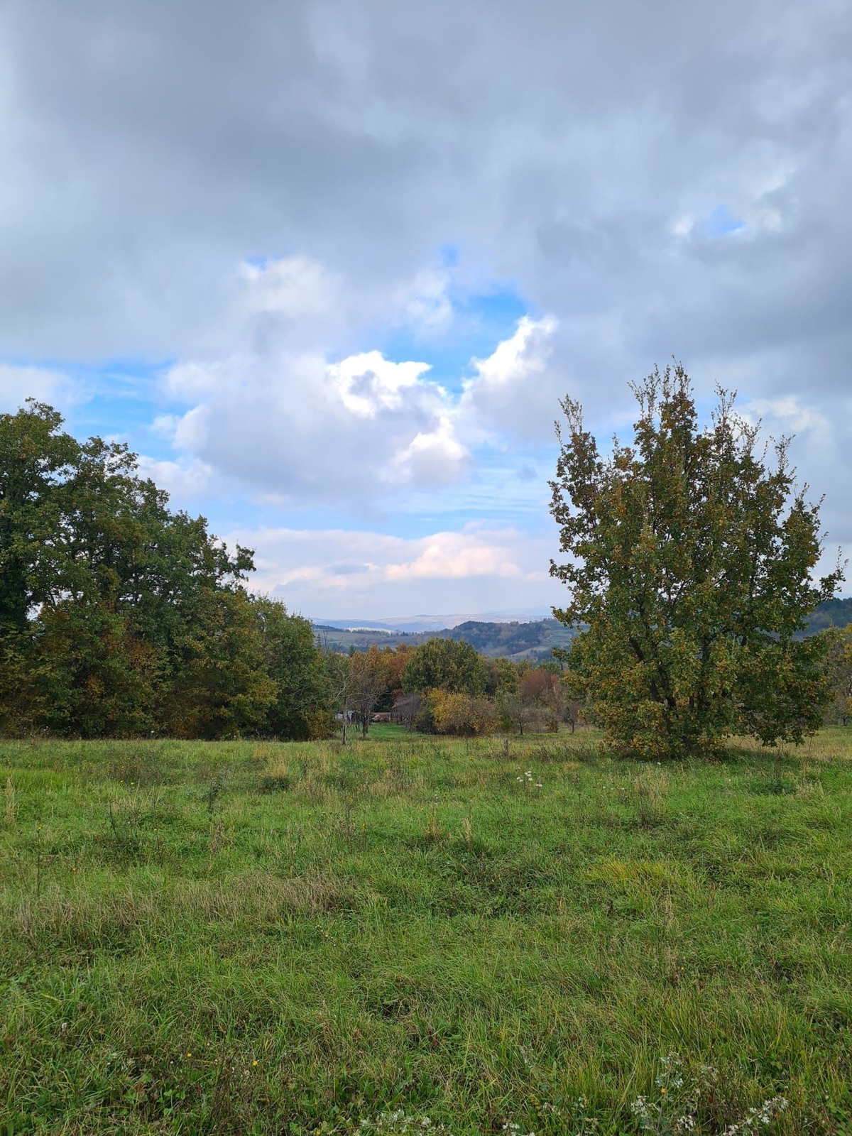 MOTOVUN-TERRENO EDIFICABILE CON PROGETTO DI COSTRUZIONE