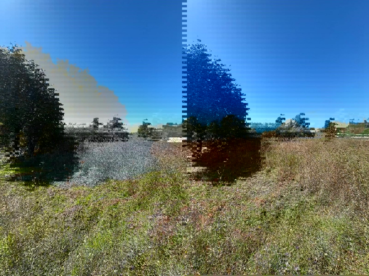 VABRIGA - TERRENO IN VENDITA PER LA COSTRUZIONE DI APPARTAMENTI