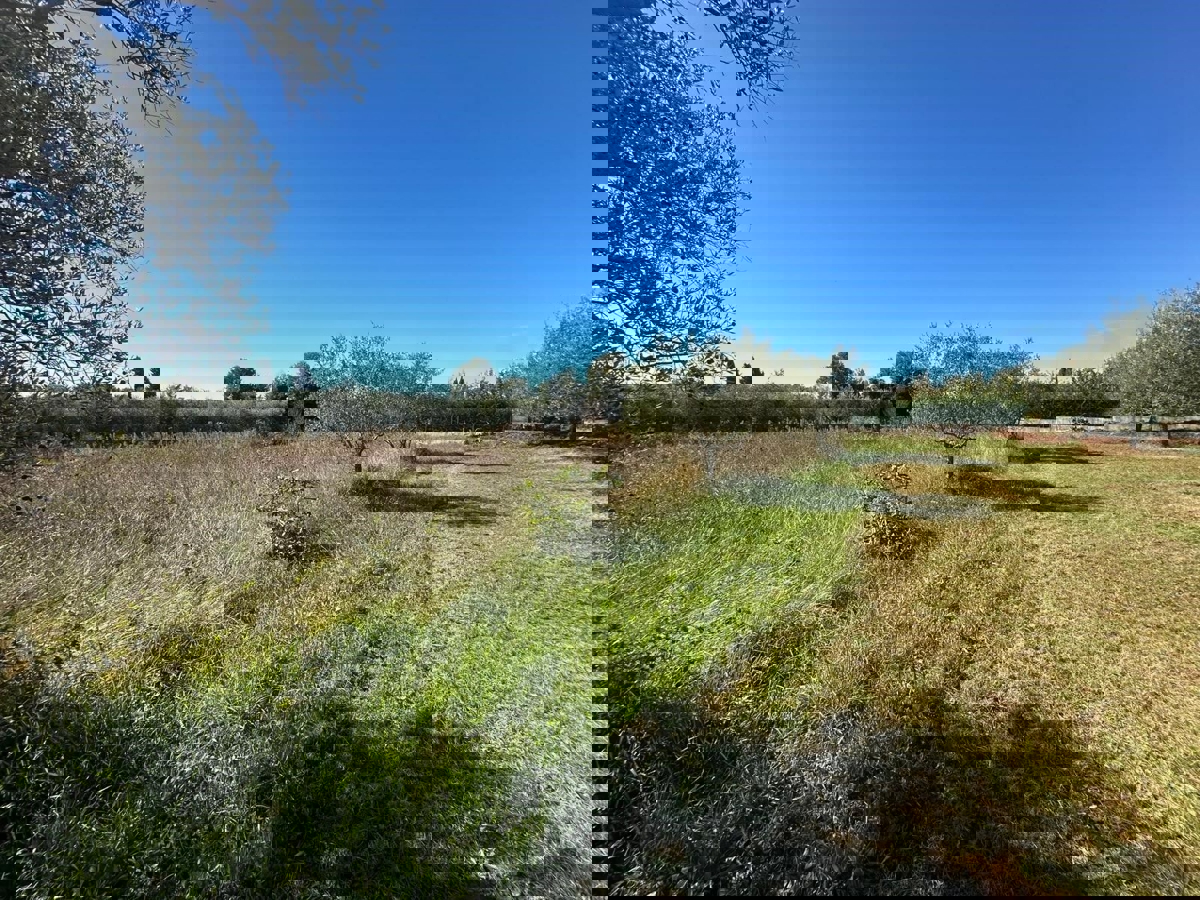 VABRIGA - TERRENO IN VENDITA PER LA COSTRUZIONE DI APPARTAMENTI