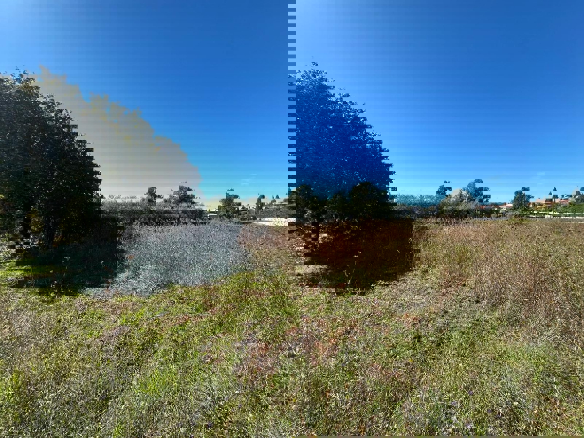 VABRIGA - TERRENO IN VENDITA PER LA COSTRUZIONE DI APPARTAMENTI