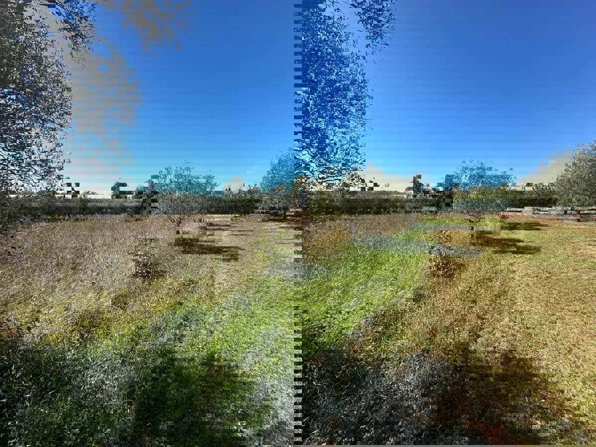 VABRIGA - TERRENO IN VENDITA PER LA COSTRUZIONE DI APPARTAMENTI