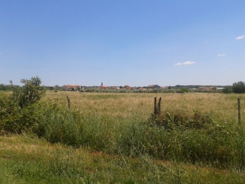 TERRENO AGRICOLO PER PIANTARE ALBERI DI ULIVO