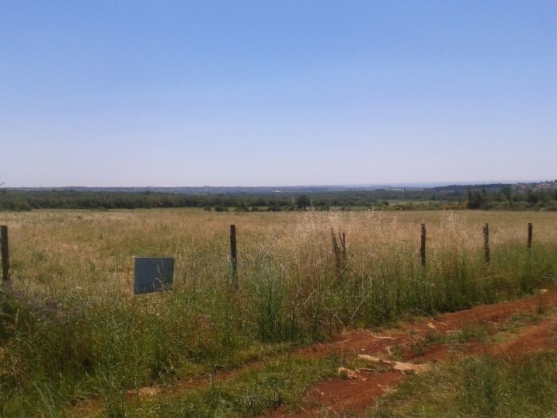 TERRENO AGRICOLO PER PIANTARE ALBERI DI ULIVO