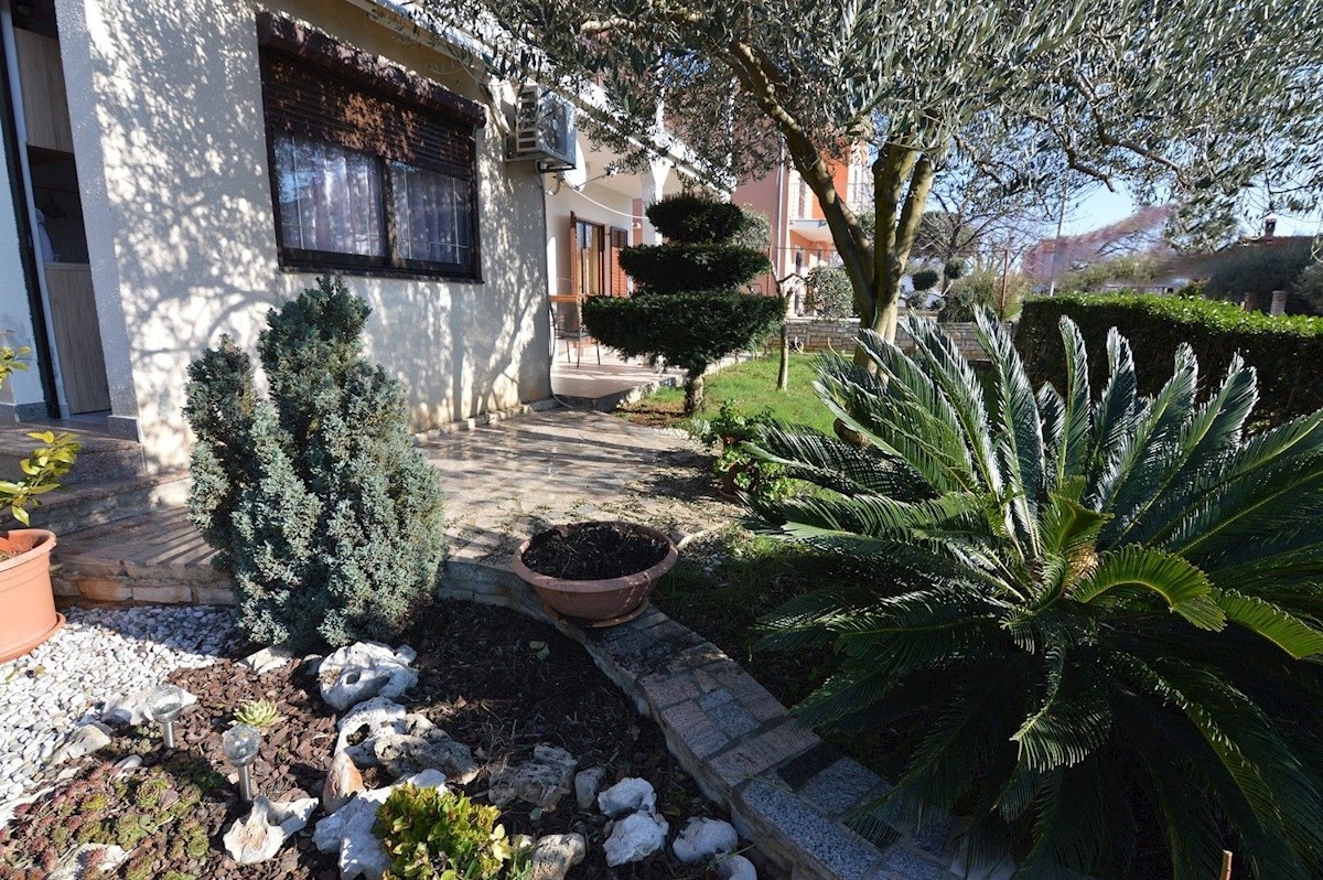 NOVIGRAD - CASA CON 4  APPARTAMENTI VENDESI