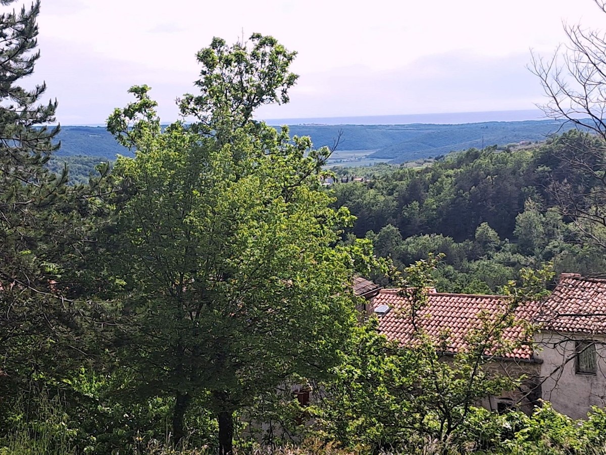 GROŽNJAN - TERRENO EDIFICABILE CON SPLENDIDA VISTA MARE