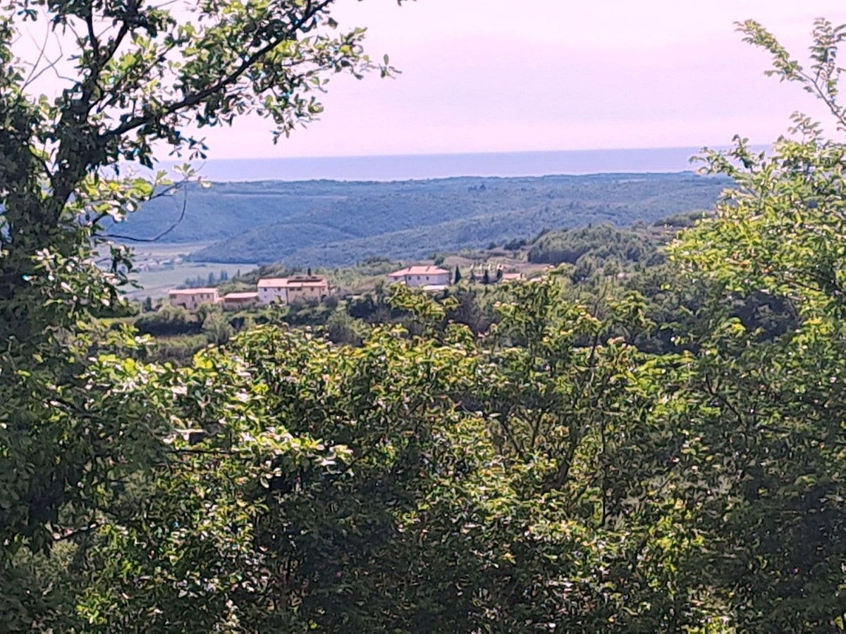 GROŽNJAN - TERRENO EDIFICABILE CON SPLENDIDA VISTA MARE