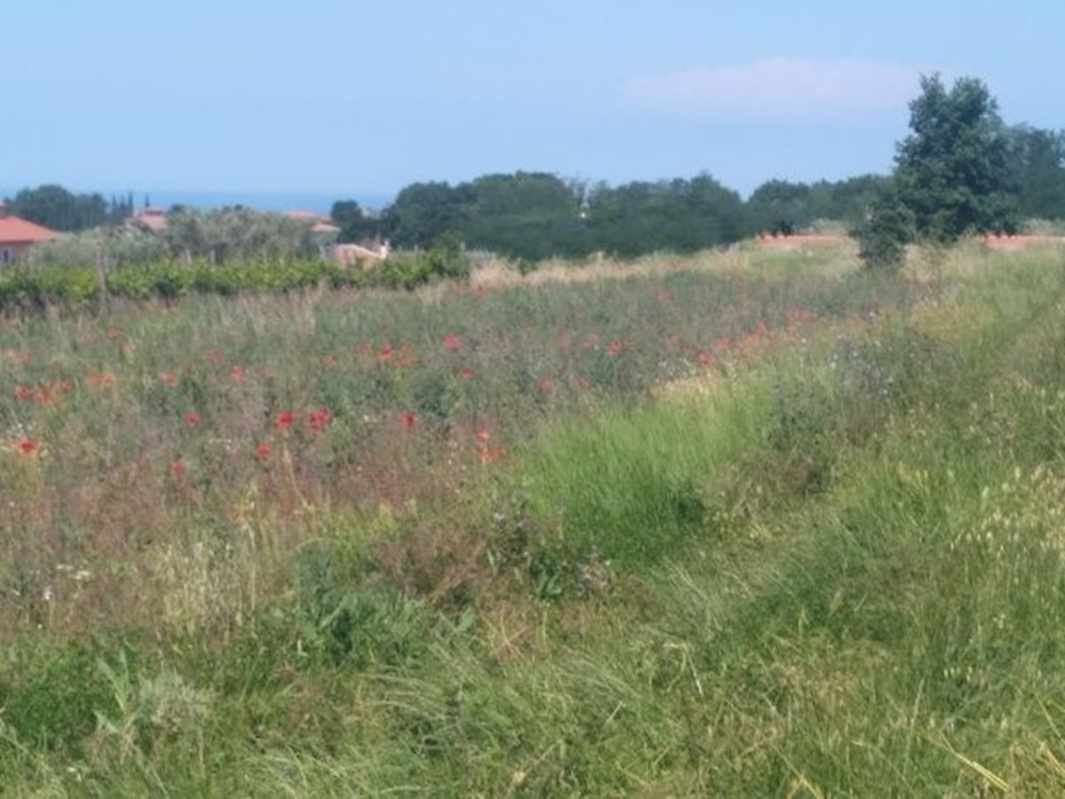 KAŠTELIR-TERRENO EDIFICABILE  IN VENDITA