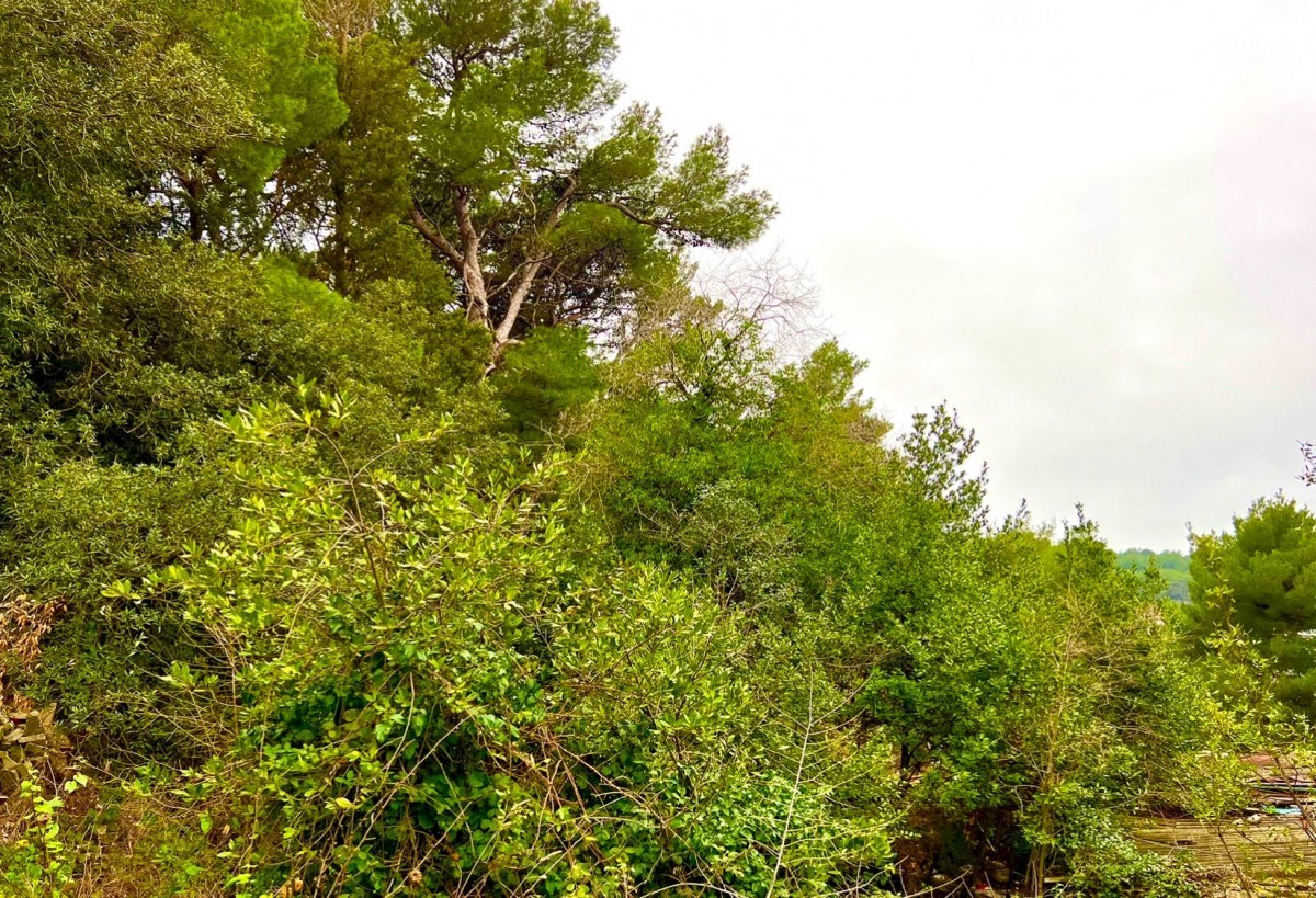 Terreno edificabile, due edifici e un magazzino nella zona commerciale, Pola, prima fila al mare, Istria, Croazia