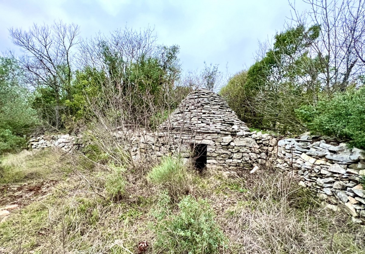 Terreno agricolo con 140 ulivi, uliveto, Istria, Croazia