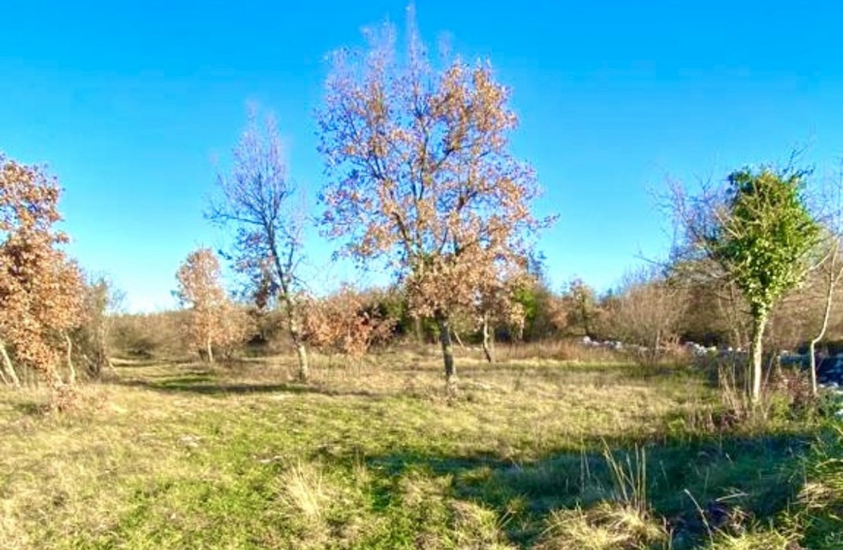 Terreno edificabile in ottima posizione, ideale per costruire una villa o più ville, Režanci, Istria