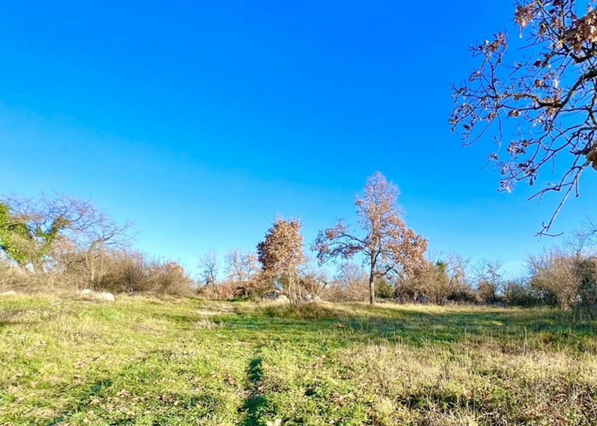 Terreno edificabile in ottima posizione, ideale per costruire una villa o più ville, Režanci, Istria