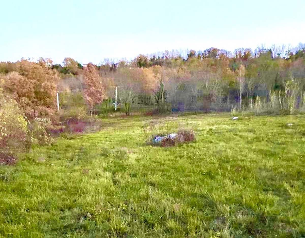 Terreno edificabile per 4 ville con piscina con vista su Montona, Visinada