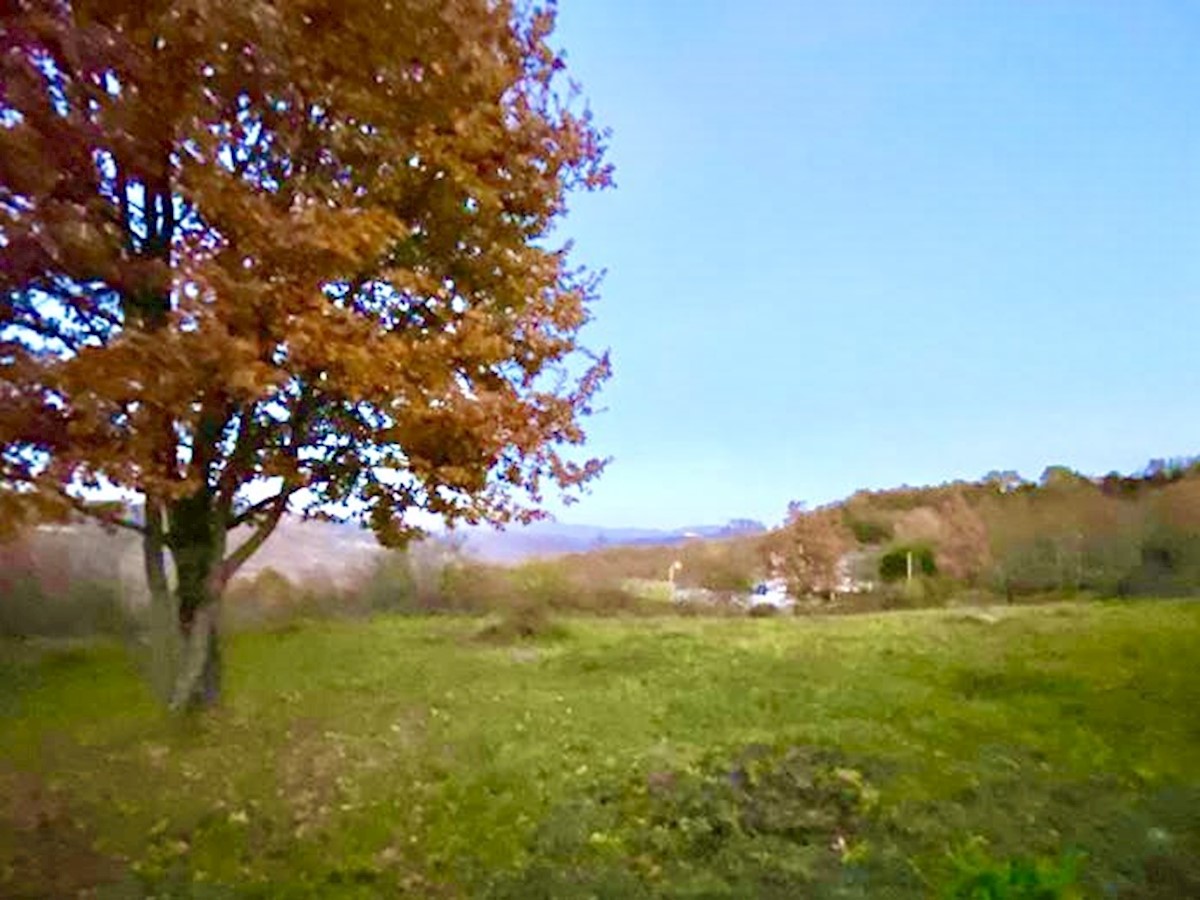 Terreno edificabile per 4 ville con piscina con vista su Montona, Visinada