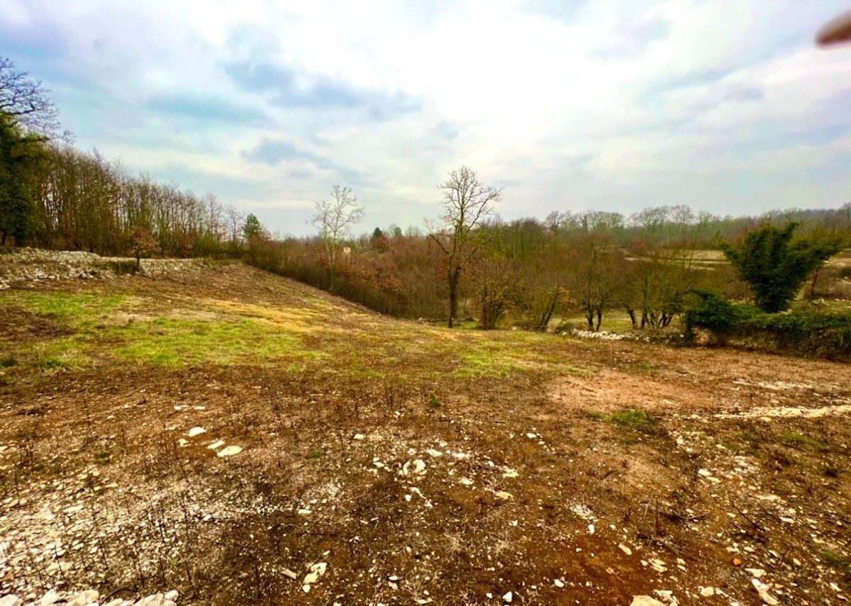 Terreno edificabile con una vista meravigliosa, Režanci, Istria